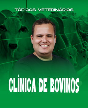 Clínica de Bovinos