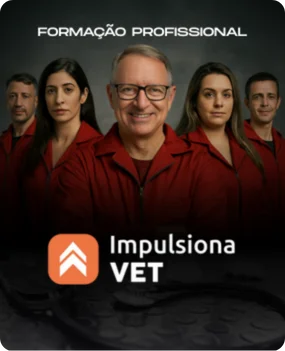 Impulsiona VET