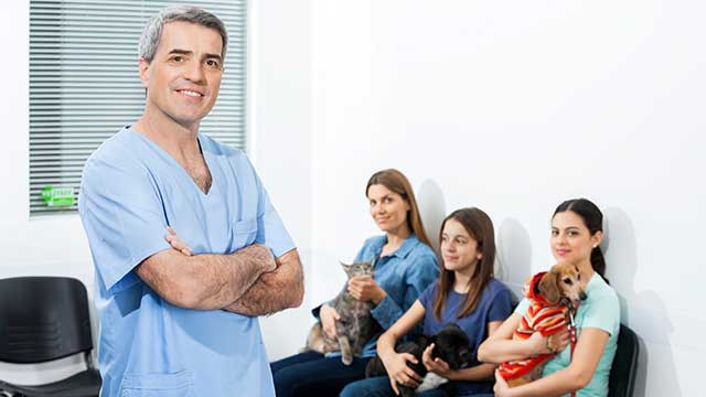 Veterinário Empreendedor