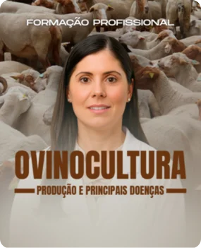 Ovinocultura - Produção e Principais Doenças