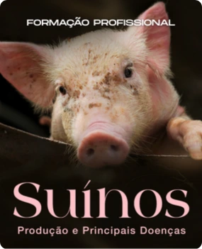Suínos - Produção e Principais Doenças