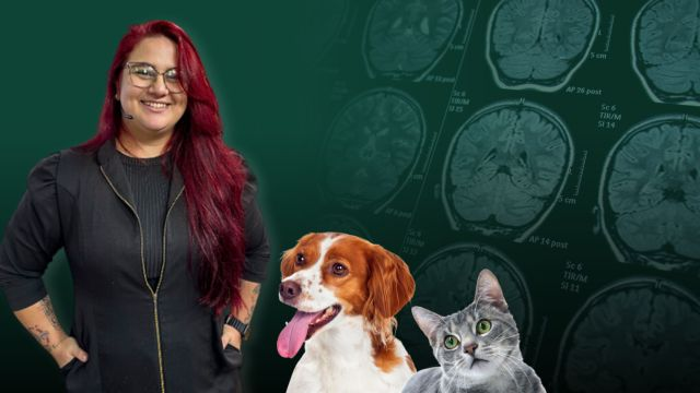 Cães e Gatos - Neurologia