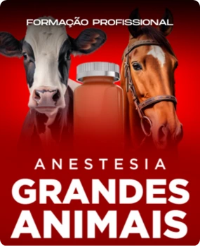 Anestesia em Grandes Animais