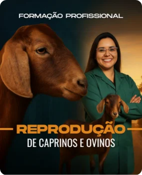 Reprodução de Caprinos e Ovinos