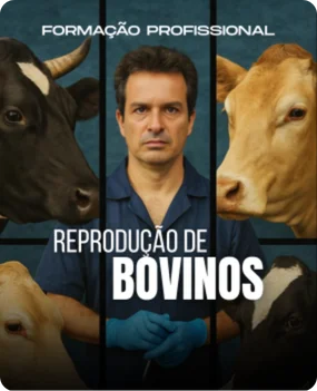 Fisiologia da Reprodução de Bovinos