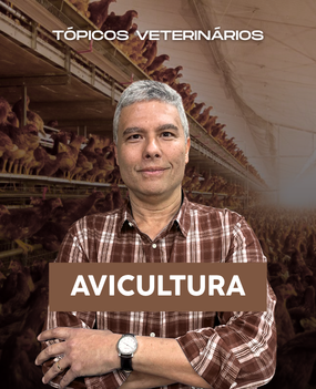 Avicultura