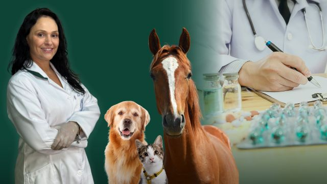 Terapêutica Veterinária