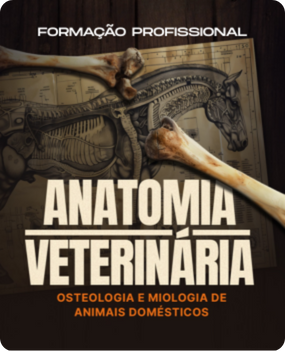 Anatomia Veterinária - Osteologia e Miologia de Animais Domésticos