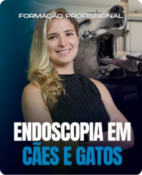Endoscopia em Cães e Gatos